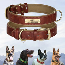 Personalized Leather Custom Dog Collar Soft Padded Dog Collars