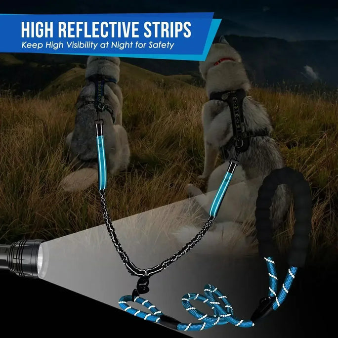 Reflective Double Dog Leash with Two Extra Traffic