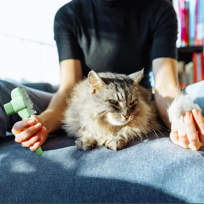 Dog Hair Remover Brush Pet Dogs Hair Brush Cat