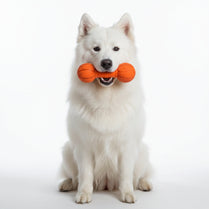 Dog Ball Toy Interactive Dog Toy Fun Giggle Sounds