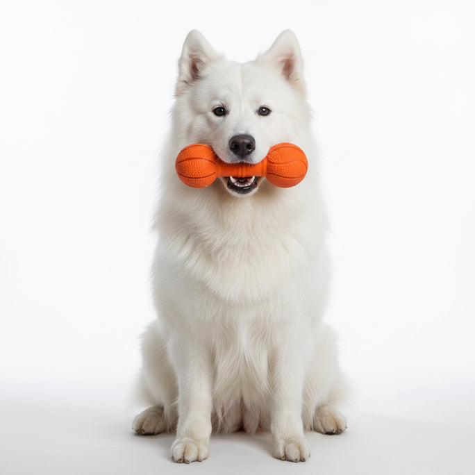 Dog Ball Toy Interactive Dog Toy Fun Giggle Sounds