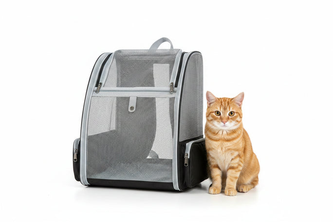 Practical, foldable cross-border pet bag. New style for cats and dogs
