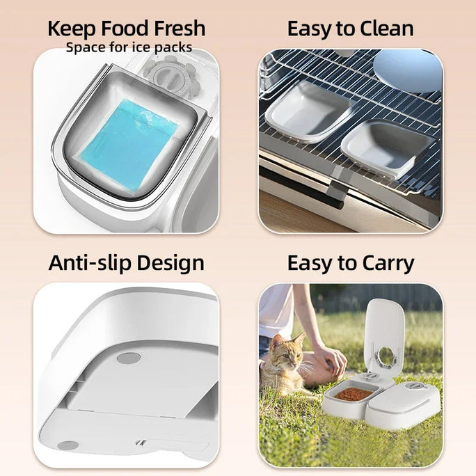 2 Meals Automatic Pet Feeder Smart Cat Food