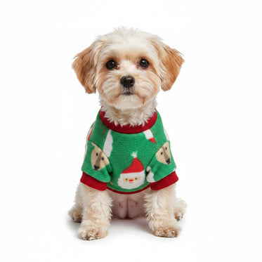 santa-claus
