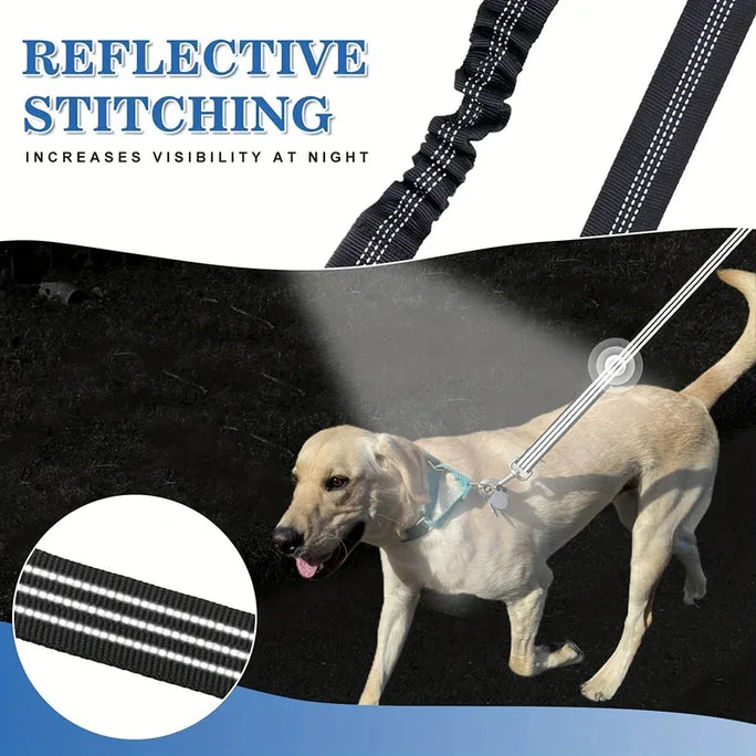 Pet Dog Double Leashes - No Tangle Dog Leash Coupler